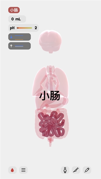 生命life游戏官网下载_生命life游戏官网版v1.0安卓版下载