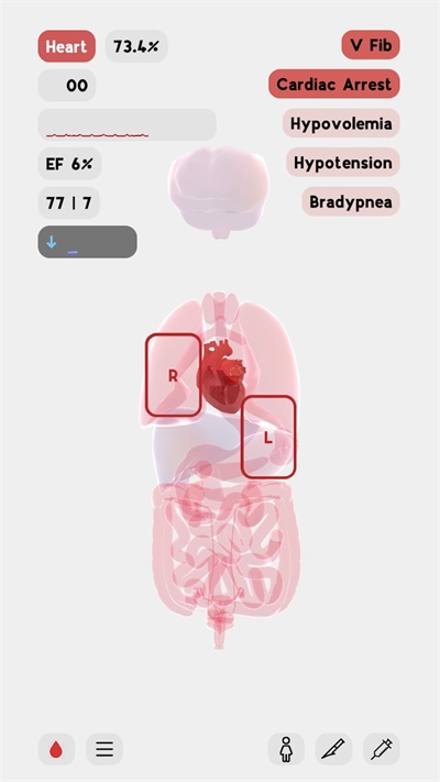 生命LIFE下载_生命LIFE中文版v1.25安卓版下载