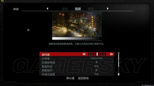 西西软件