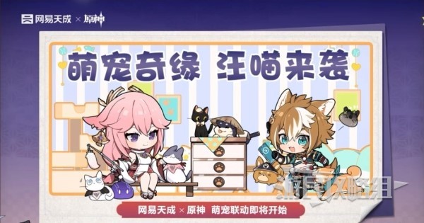 西西软件