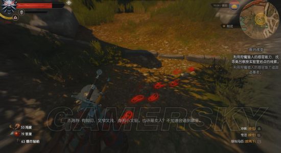 西西软件