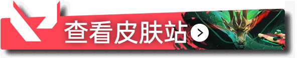 西西软件