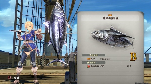 西西软件