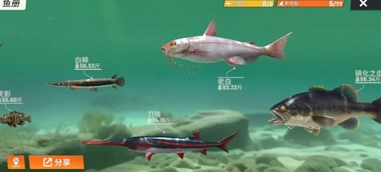 西西软件