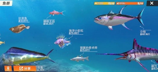 西西软件
