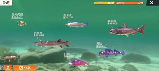 西西软件
