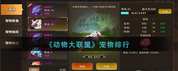动物大联盟宠物怎么选?_宠物大联盟