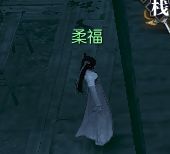 西西软件