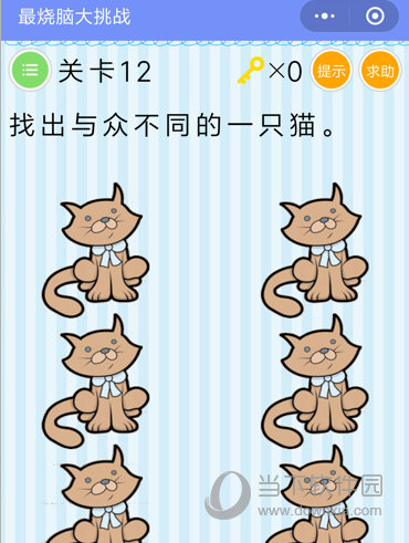 微信*烧脑大挑战第12关怎么过?_找出与众不同的一只猫