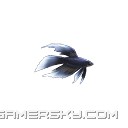 西西软件