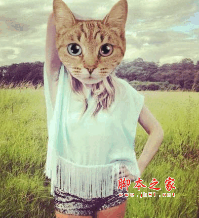catwang安卓版下载_catwangv3.2安卓版软件下载