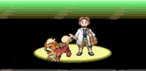 口袋妖怪极光石全部攻略_口袋妖怪极光石攻略