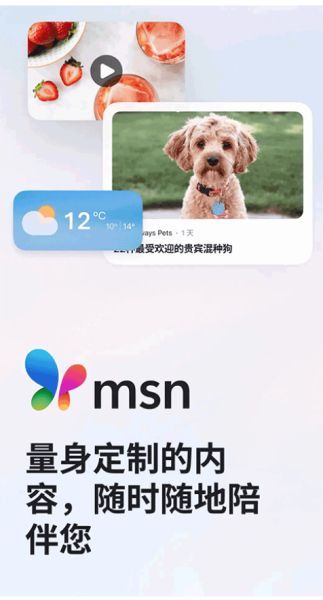 手机msn下载_MSN手机版v30.4.2110003843安卓版手机app下载