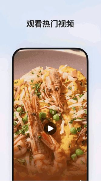 手机msn下载_MSN手机版v30.4.2110003843安卓版手机app下载