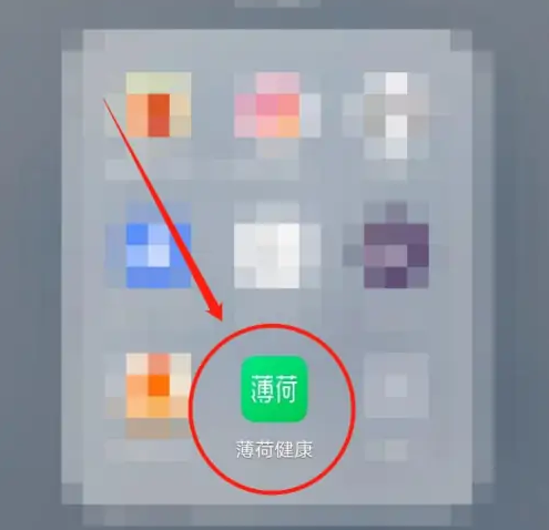 薄荷app怎么查食物热量?_薄荷网热量查询