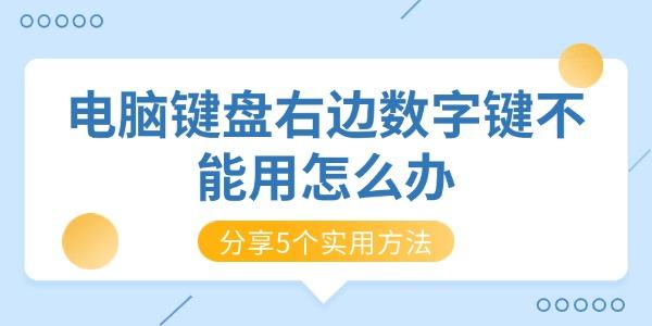 电脑键盘右边数字键不能用怎么办?键盘数字键不能用