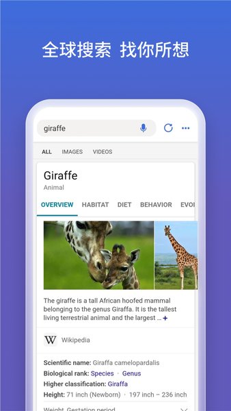BING搜索国内版下载_微软bing搜索引擎国内版v31.4.2110003555android版推荐下载