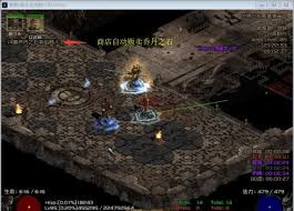 ！暗黑破坏神2大箱子(PlugY)10.0终极开启秘籍！_plugy10.0