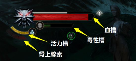 西西软件