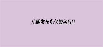 小明震撼发布：永久域名686,颠覆互联网新纪元_小明发布永久域名686