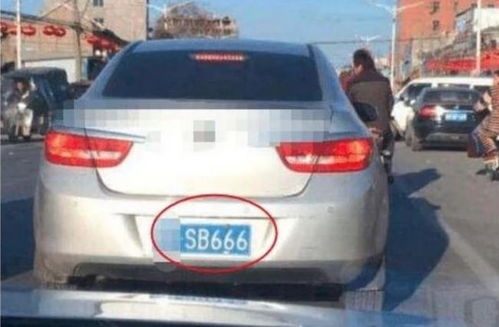 浙GYP666车牌背后的神秘故事：你绝对不知道的金华地区车牌秘密_浙gyp666