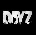 dayz下载_dayz官方正版支持联机v2.8.5安卓版免费下载
