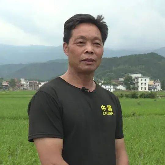 五月花与六月丁香的区别?五月花六月丁香花