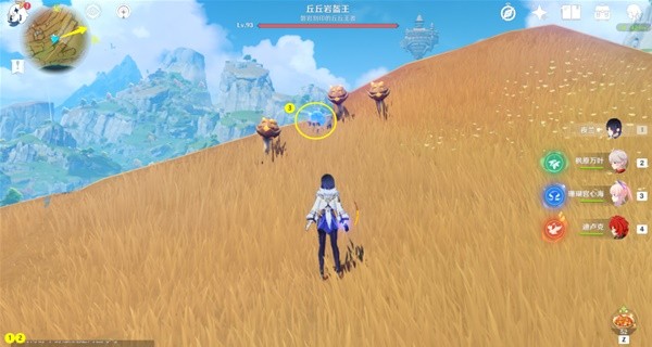 西西软件