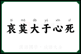 解析：‘了然于心_了然于心 莫问纷飞