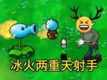 西西软件