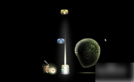 植物精灵攻略第五关怎么过?_植物精灵 攻略