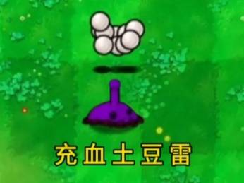 西西软件