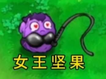 西西软件