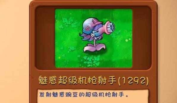 西西软件