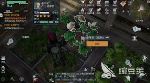 黎明觉醒：庄园积分商店的隐藏位置！_庄园积分商店