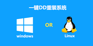 打造未来网络新纪元：DD网更快、更智能、更安全的互联网体_dd网