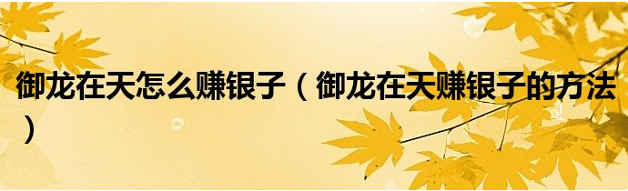 御龙在天如何获得银子_御龙在天鱼竿在哪买