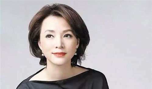 朱军和董卿是多年好友吗?朱军与董卿同居