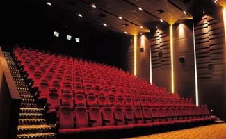 新余市火爆影院名你绝对猜不到！_新余步步高影院