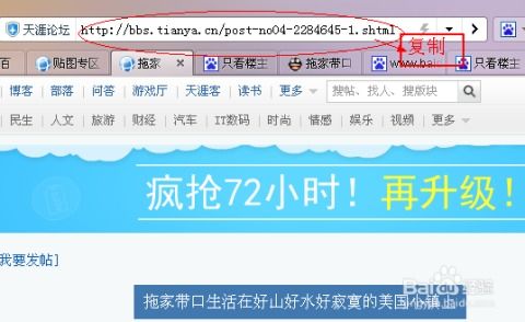 寻找永久免费的论坛平台?永远的免费论坛