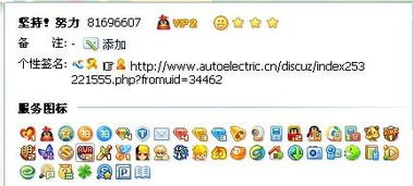 QQ幻想世界如何高效加点与最佳宠物选择攻略_qq幻想世界猎手加点