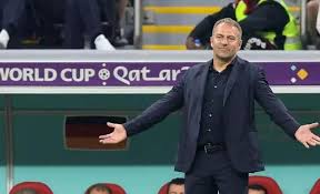 胡梅尔斯是否拥有移民背景_胡梅尔斯血统