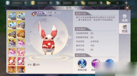 完美世界手游飞天猪坐标在哪_完美国际飞天猪坐标