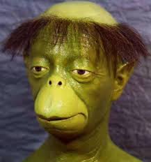 日本河童遗骨的真实性探秘_河童遗骨