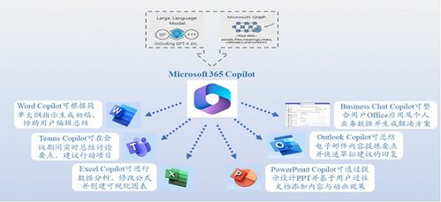365发布网的功能与用途是什么?365发布网