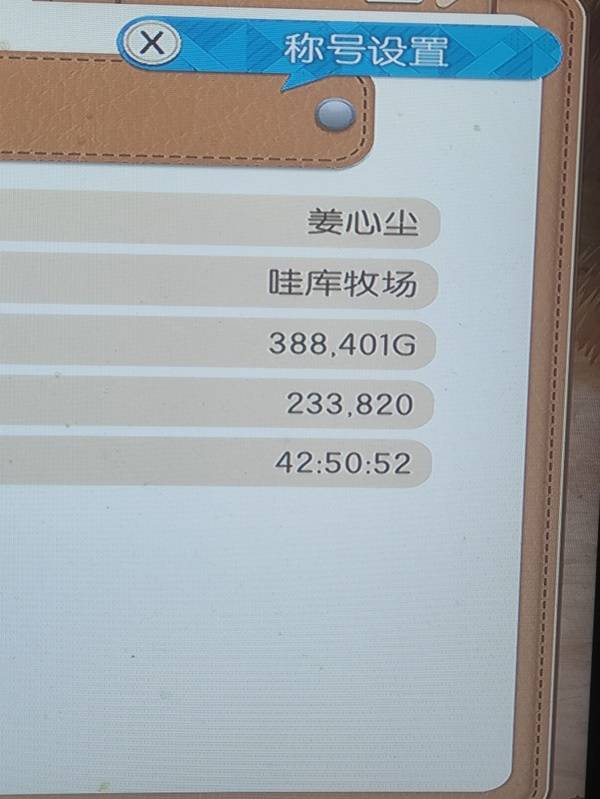 《牧场物语风之集市》第一年游玩心得_风之集市攻略