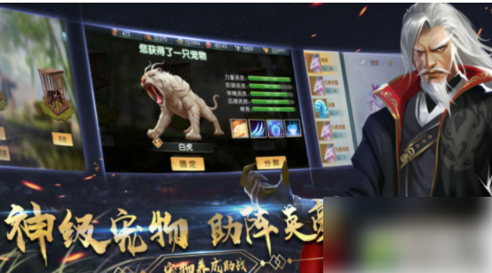 濡沫江湖如何获得虎子_濡沫江湖杭州