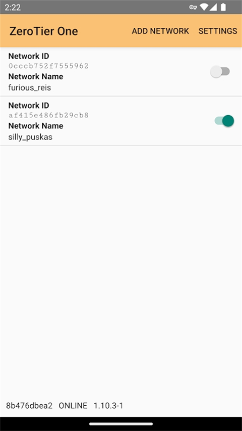 虚拟局域网工具下载_ZerotierOnev1.16.01安卓版免费app下载