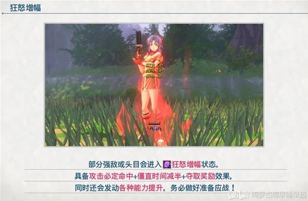 西西软件