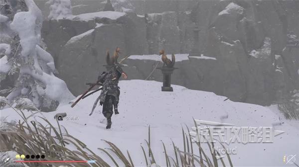 西西软件
